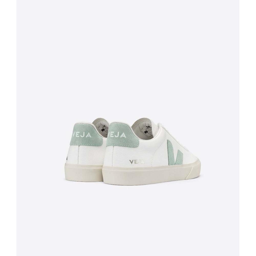 Veja CAMPO CHROMEFREE Men's Low Tops Sneakers White/Mint | NZ 295RVD